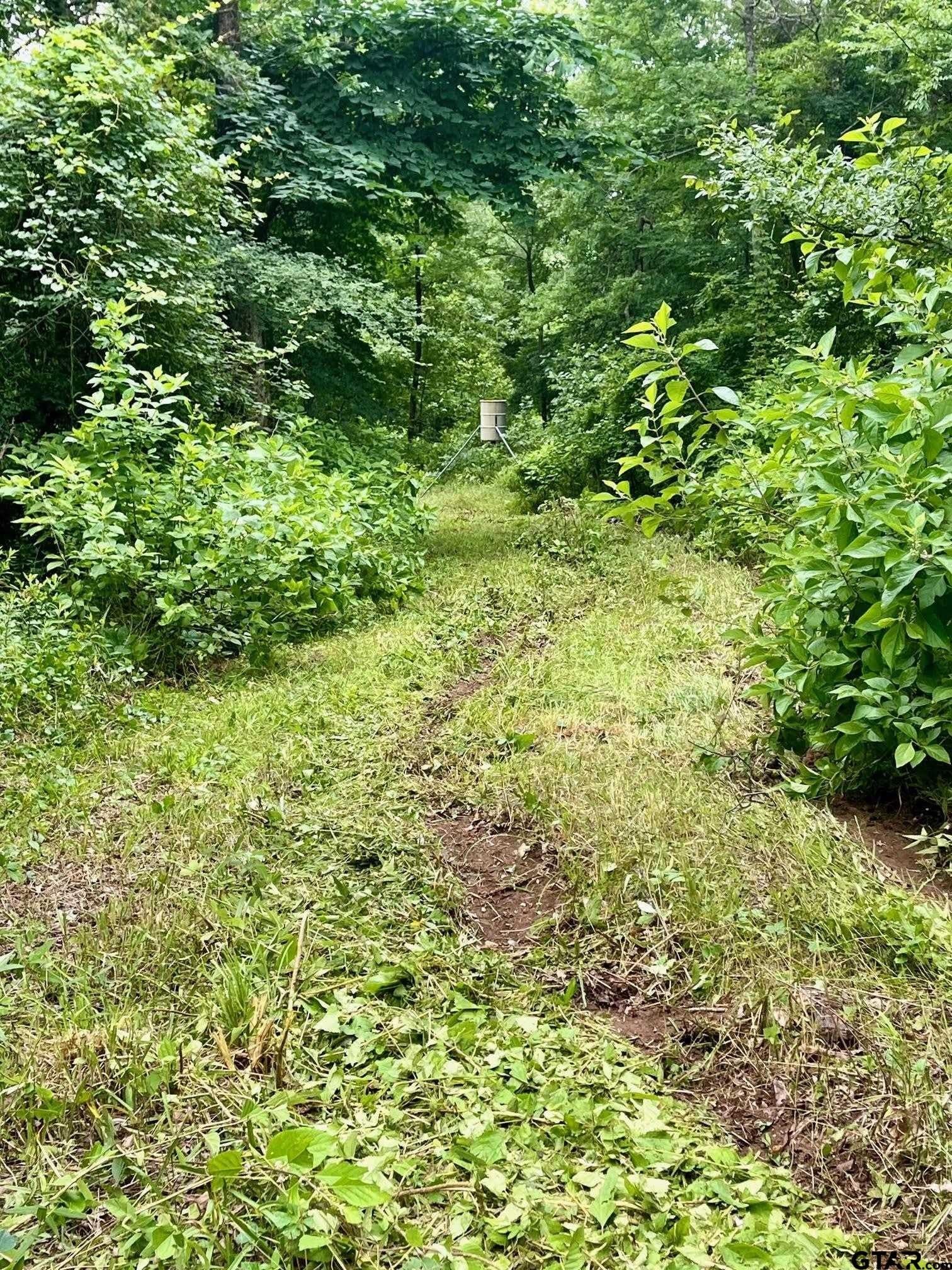 24 acres in Van Zandt County - photo 10