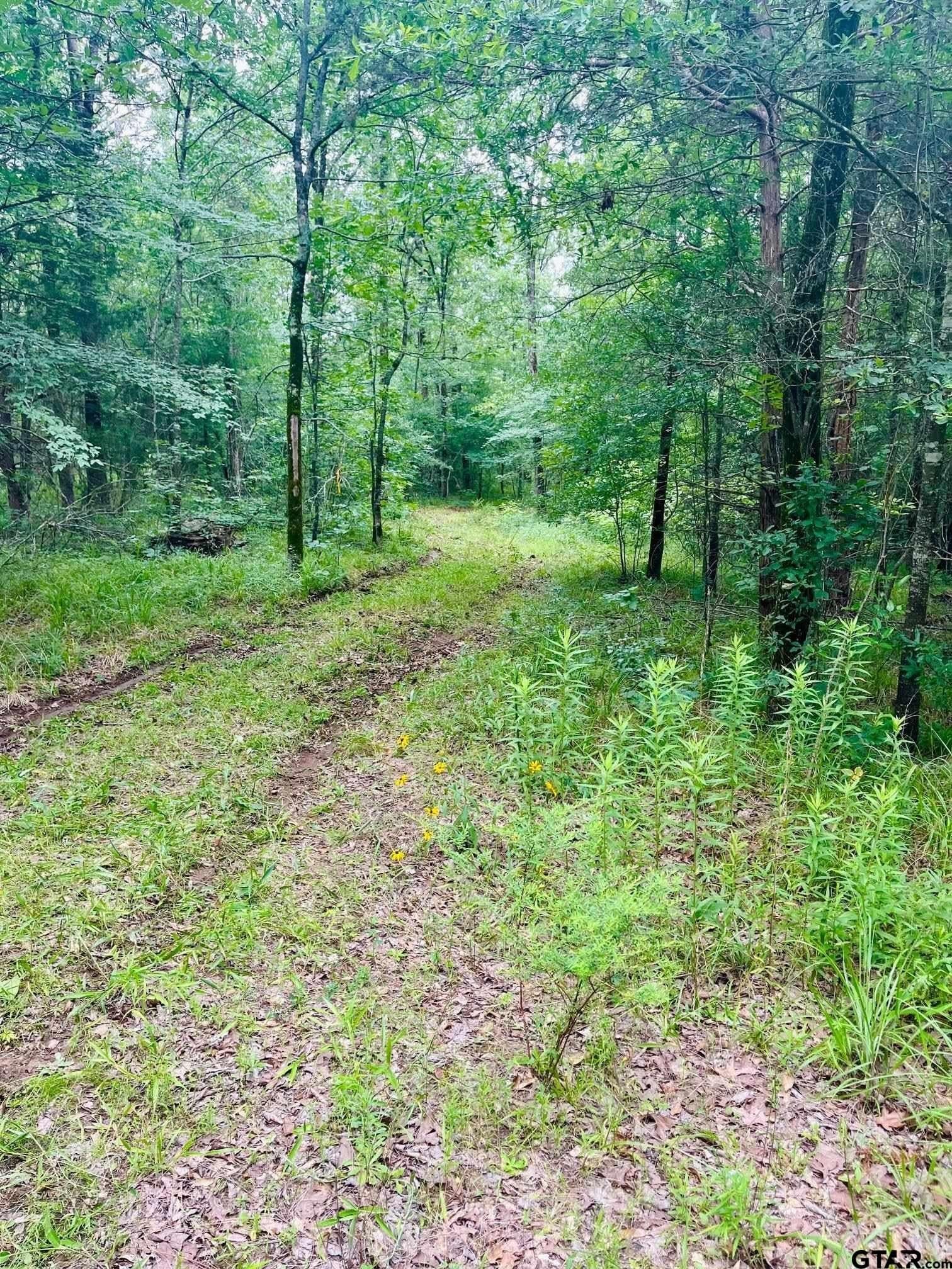 24 acres in Van Zandt County - photo 6