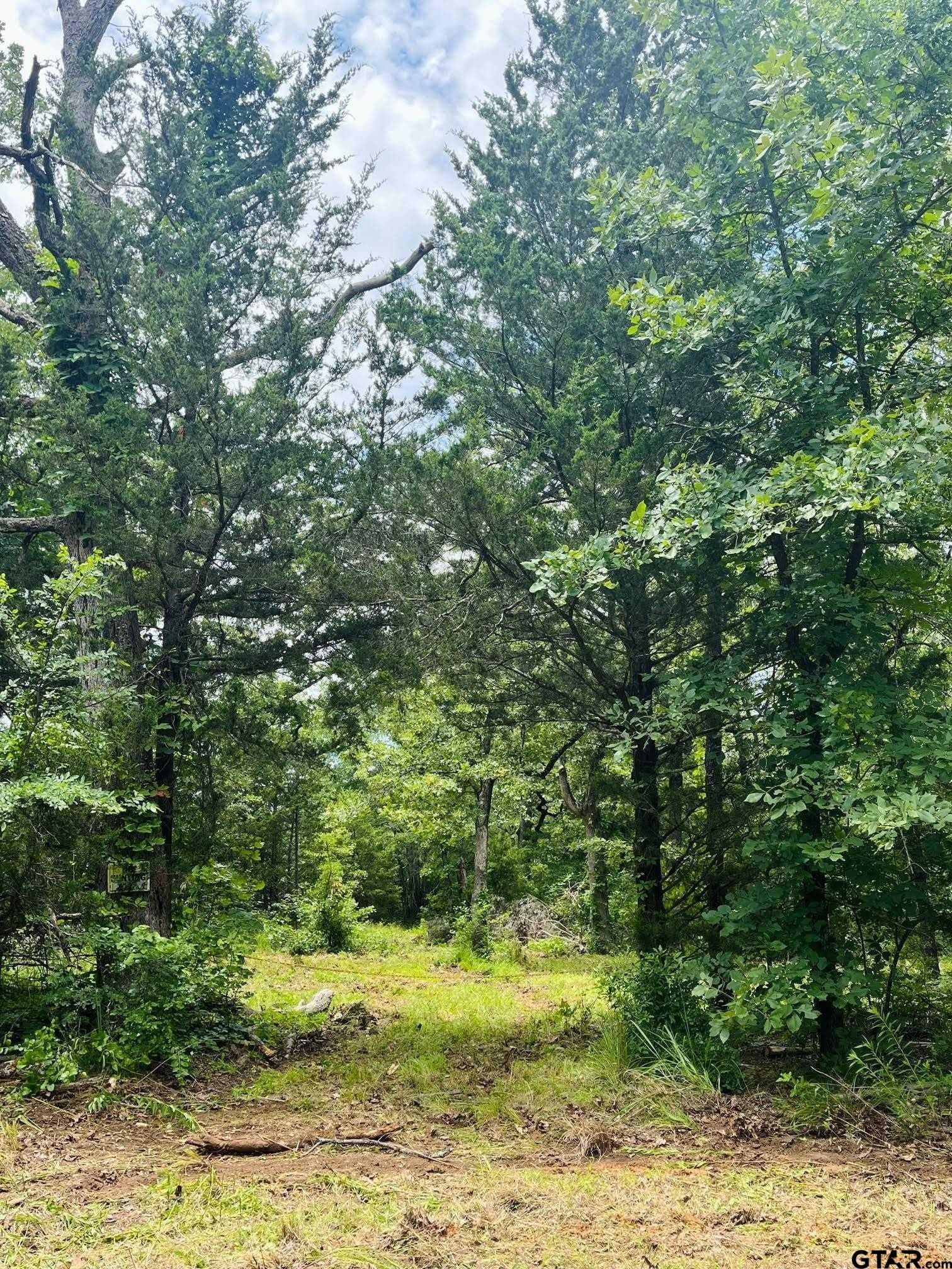 24 acres in Van Zandt County - photo 5