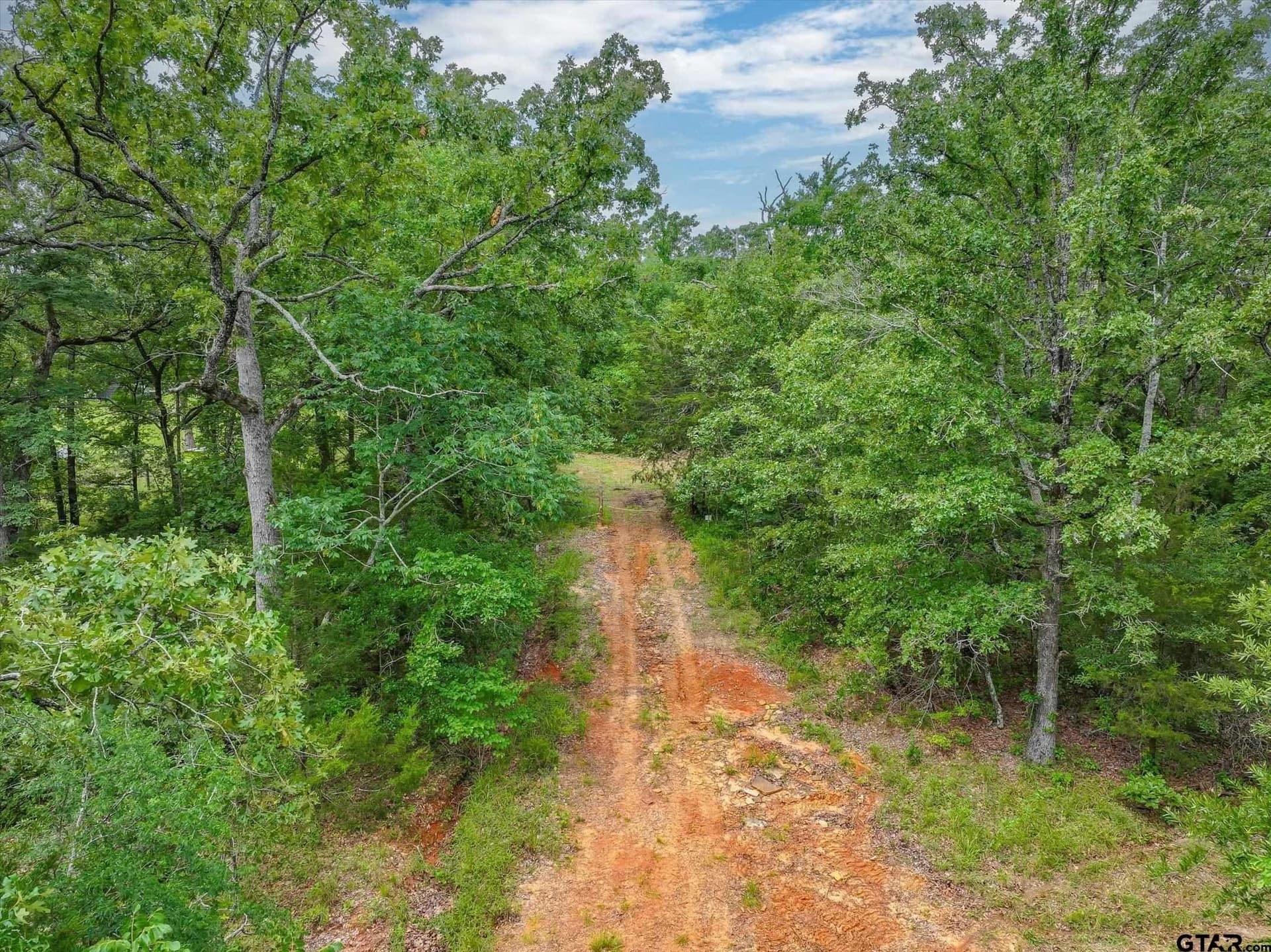 24 acres in Van Zandt County - photo 4