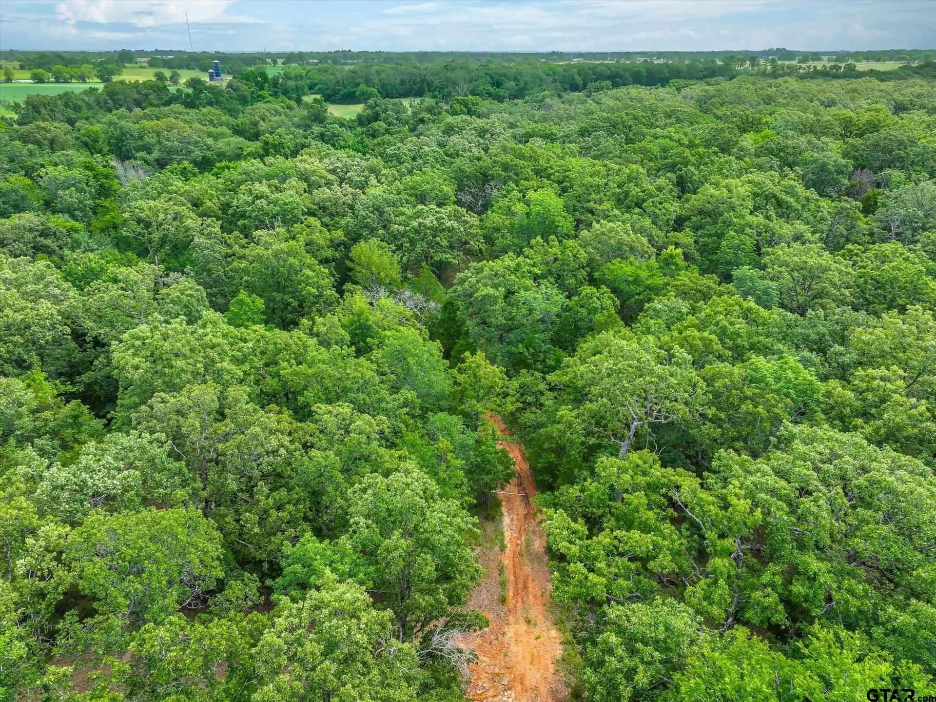 24 acres in Van Zandt County - photo 3