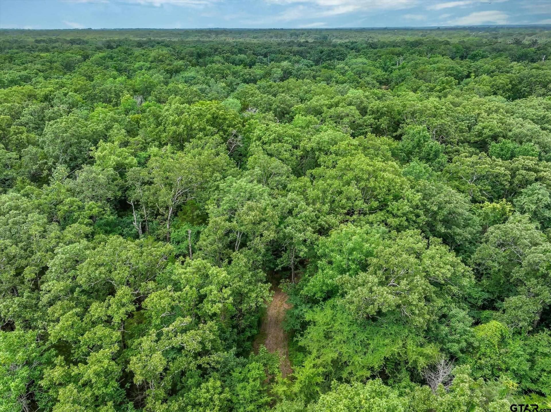 24 acres in Van Zandt County - photo 14