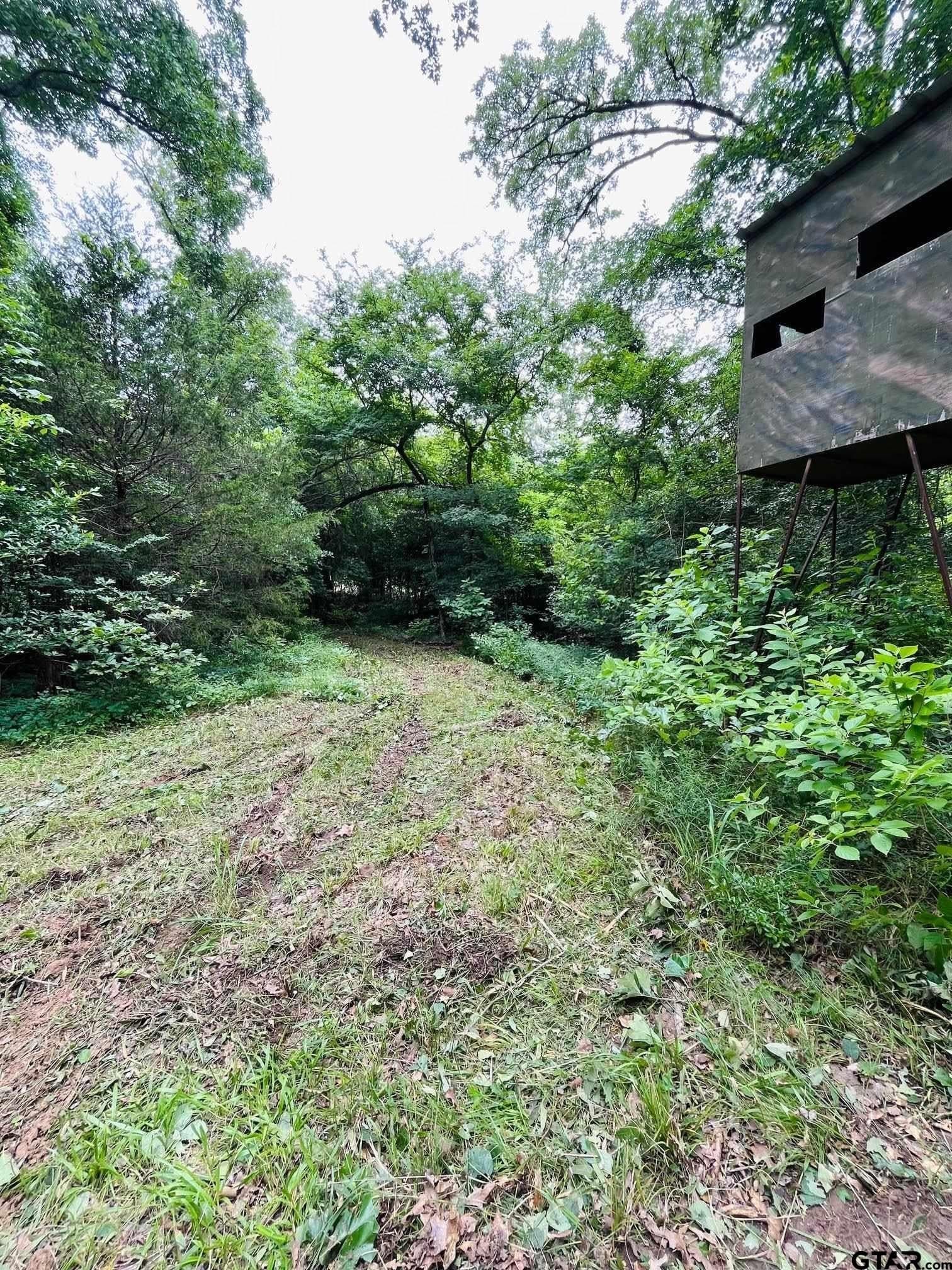 24 acres in Van Zandt County - photo 8