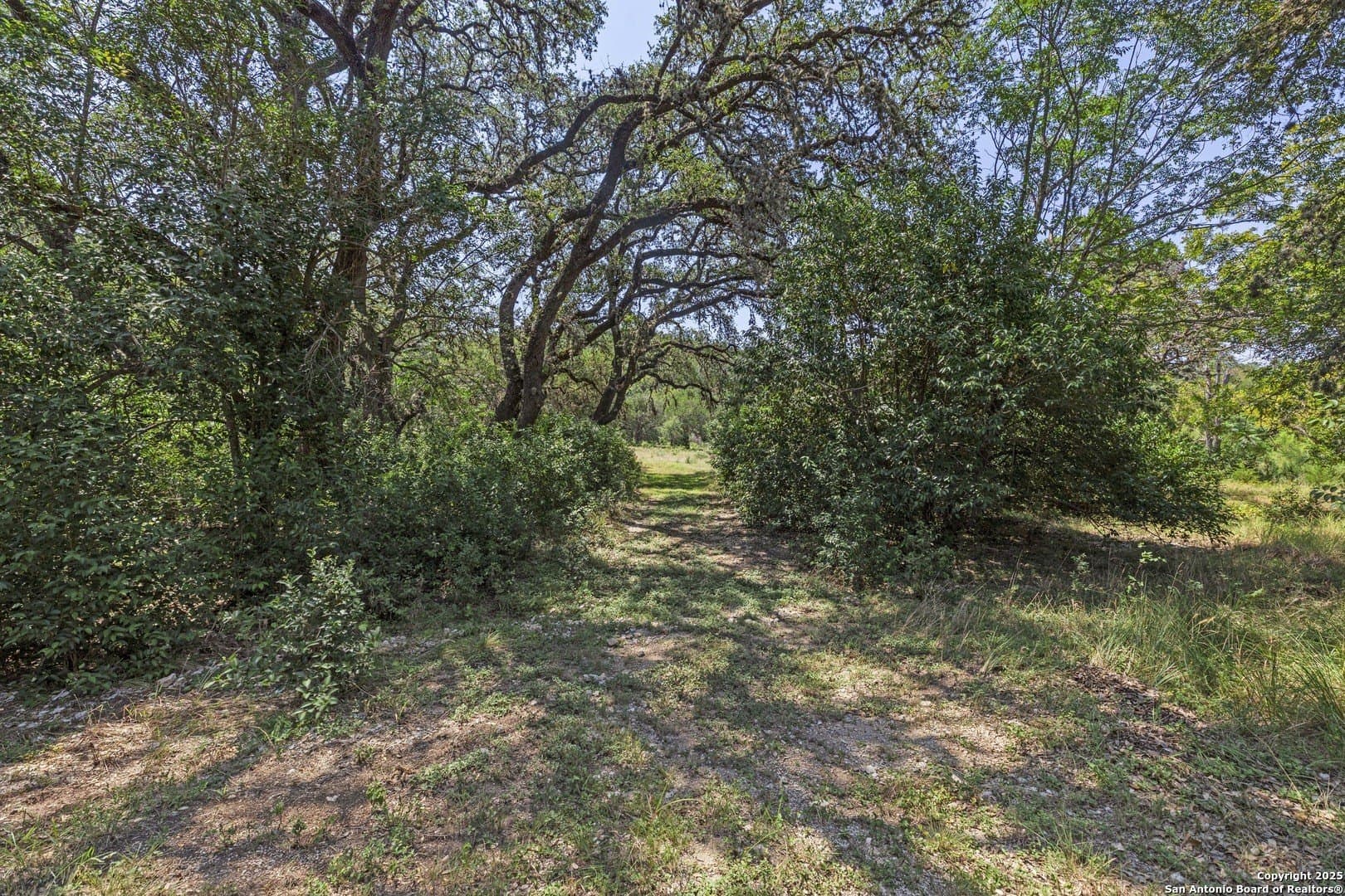 17.6 acres in Bexar County - photo 7