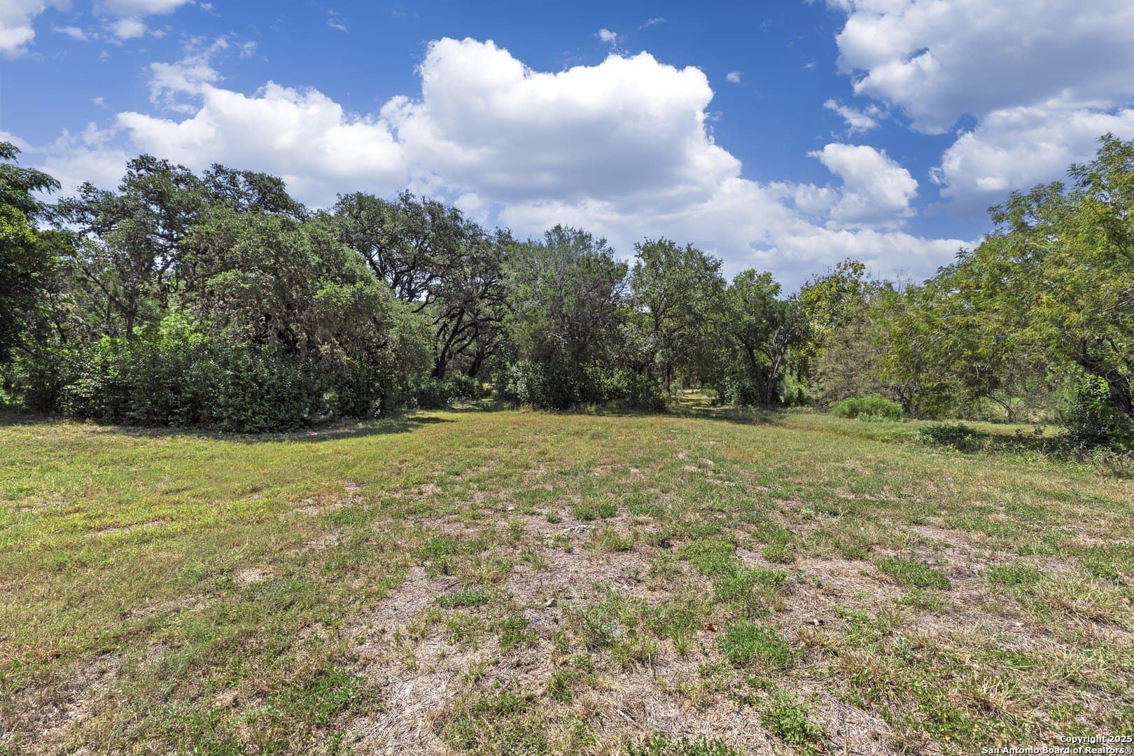 17.6 acres in Bexar County - photo 4