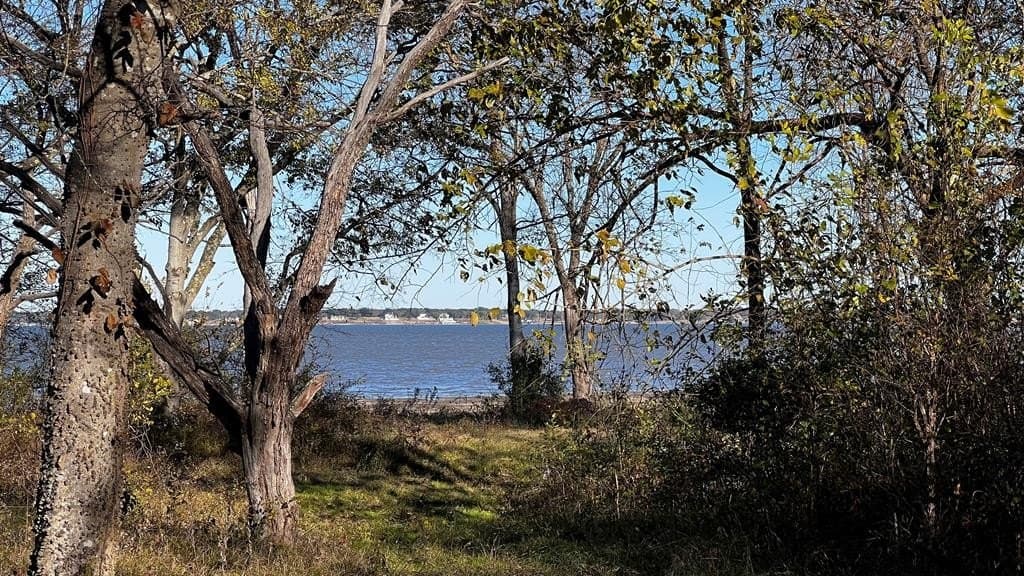 1.25 acres in Kaufman County - photo 9