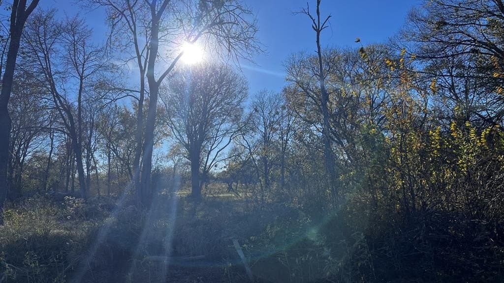 1.25 acres in Kaufman County - photo 2