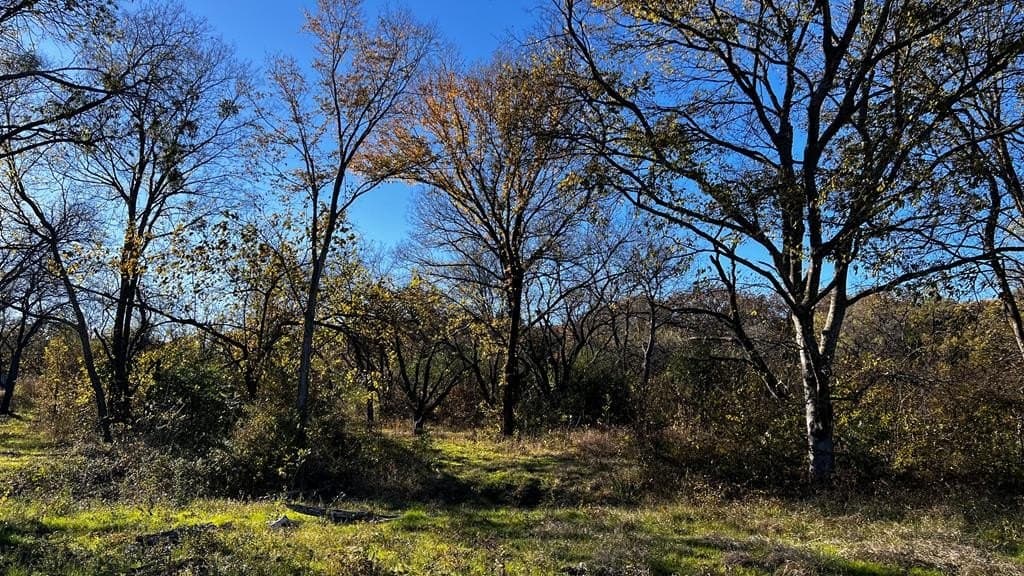 1.25 acres in Kaufman County - photo 3