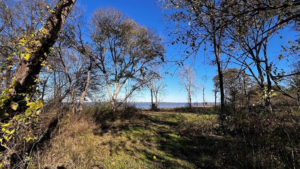 1.25 acres in Kaufman County - photo 4