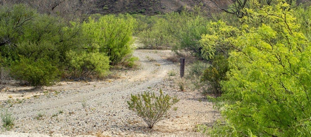 160 acres in Brewster County - photo 42