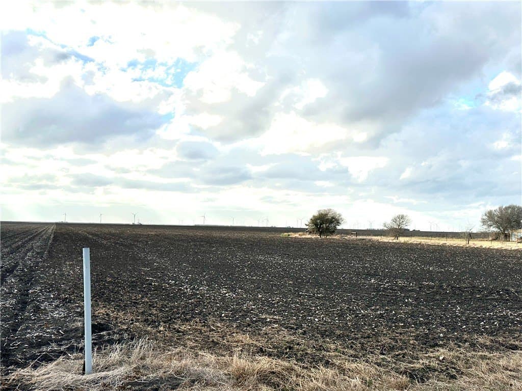 22.84 acres in San Patricio County - photo 3