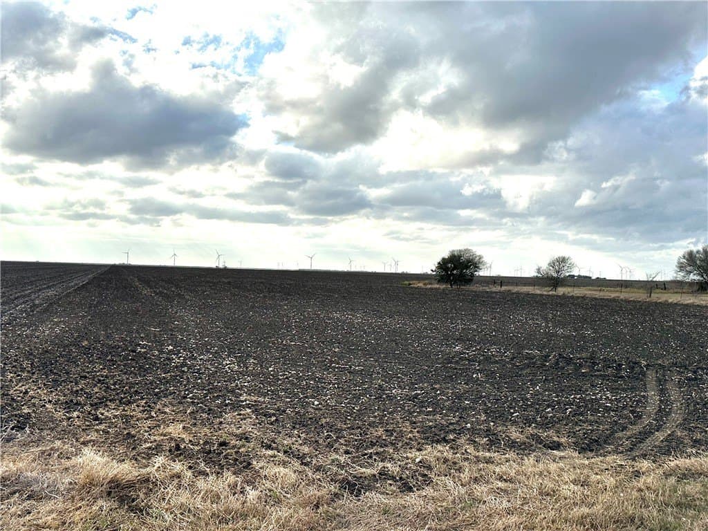 22.84 acres in San Patricio County - photo 7