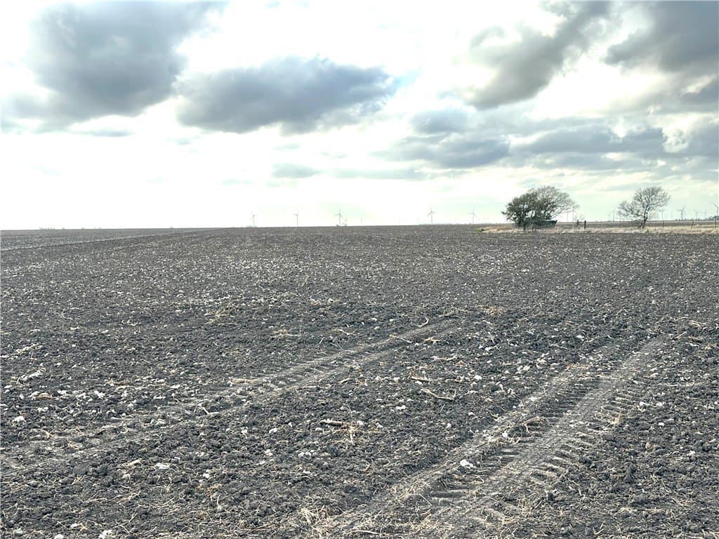 22.84 acres in San Patricio County - photo 10