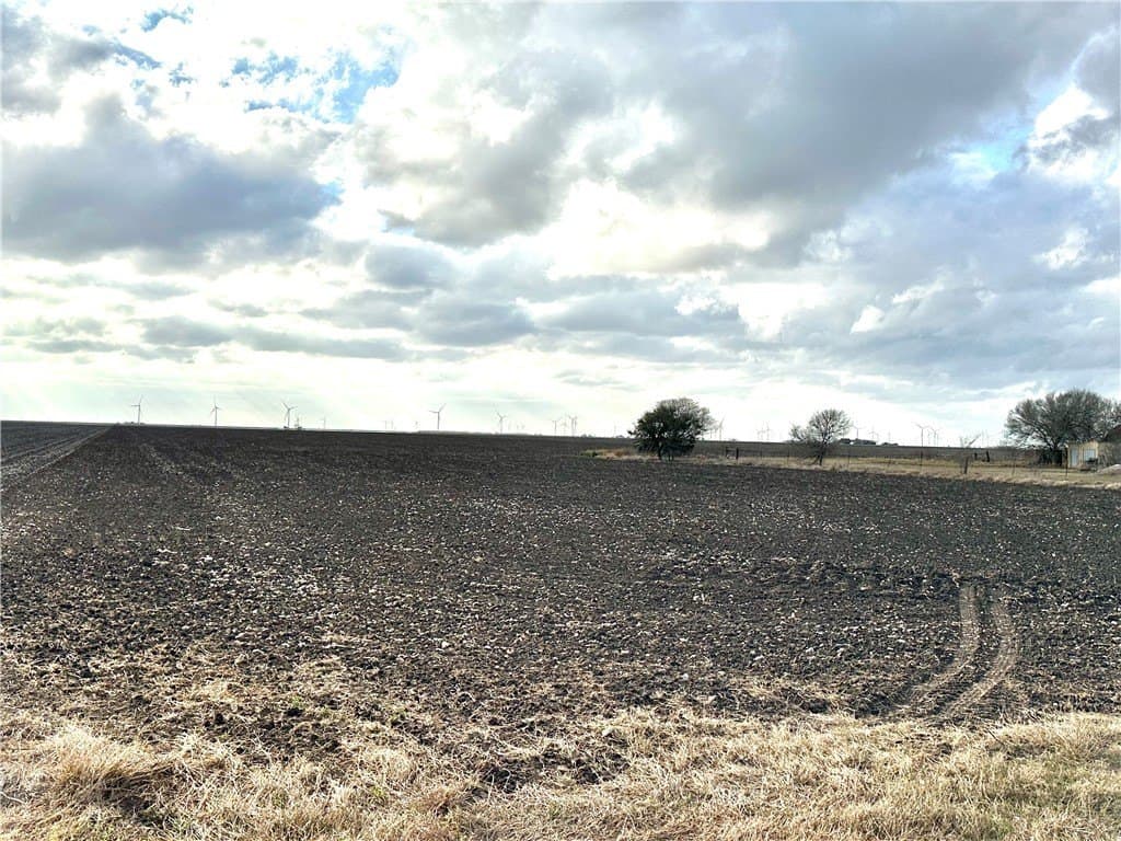 22.84 acres in San Patricio County - photo 9