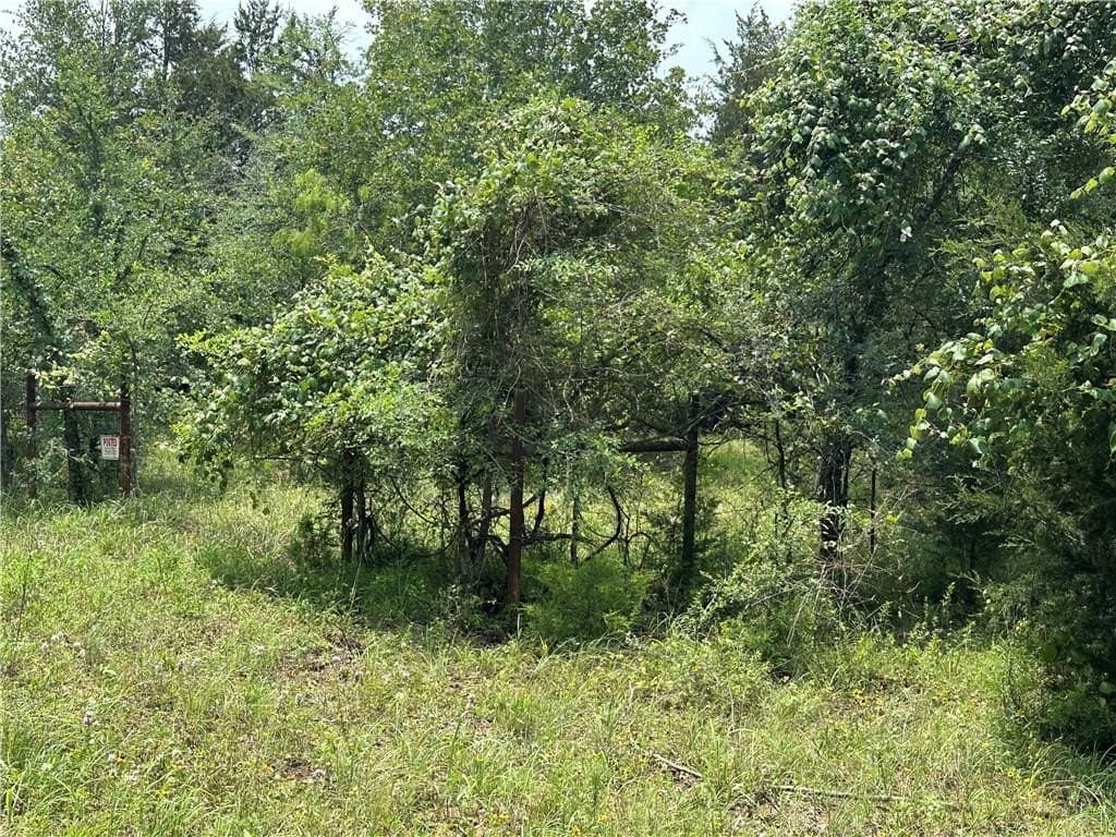 17.6 acres in Limestone County - photo 3