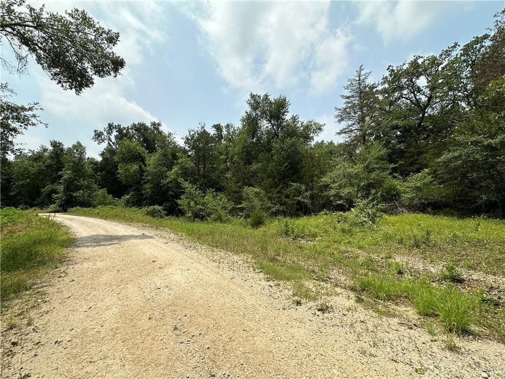 17.6 acres in Limestone County - photo 2