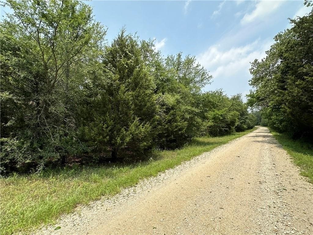 17.6 acres in Limestone County - photo 5