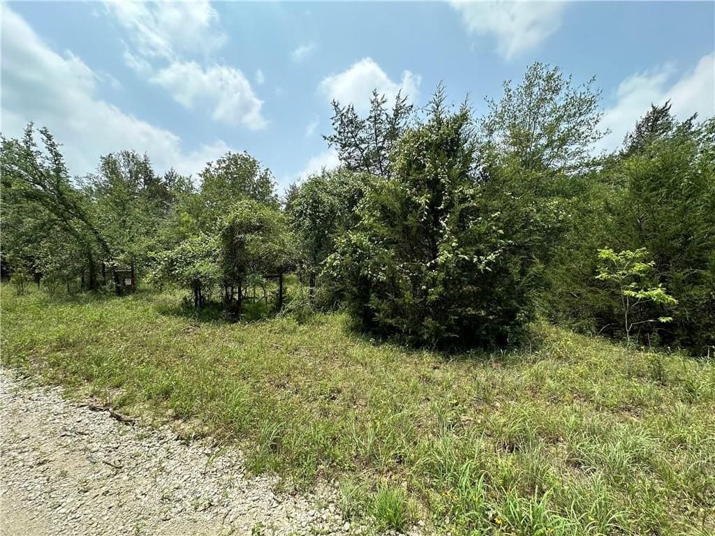 17.6 acres in Limestone County - photo 6