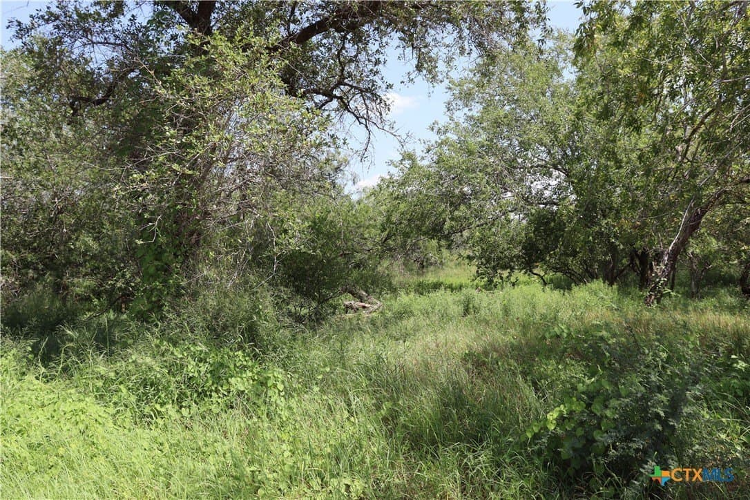 84.17 acres in San Patricio County - photo 9