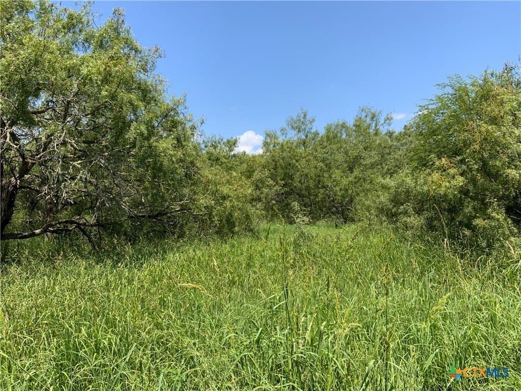 84.17 acres in San Patricio County - photo 22