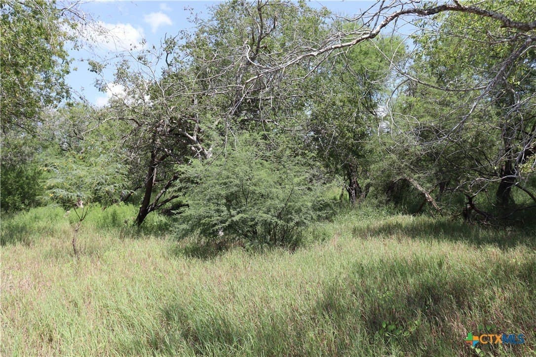 84.17 acres in San Patricio County - photo 28