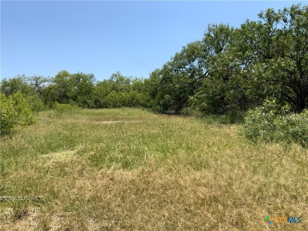 84.17 acres in San Patricio County - photo 25
