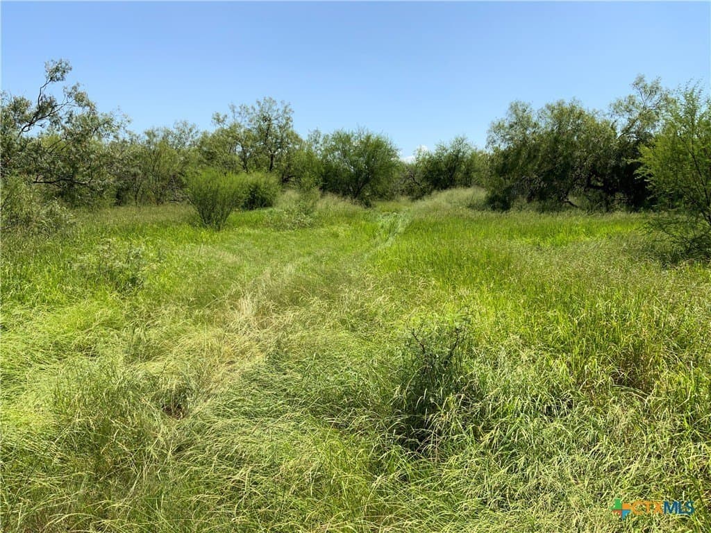 84.17 acres in San Patricio County - photo 3