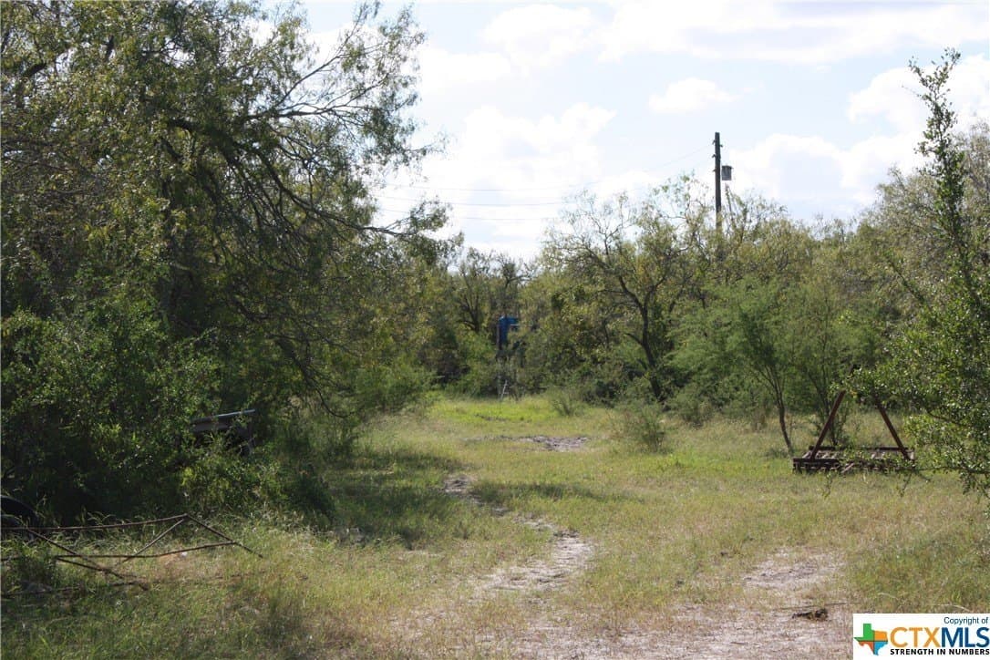 84.17 acres in San Patricio County - photo 12