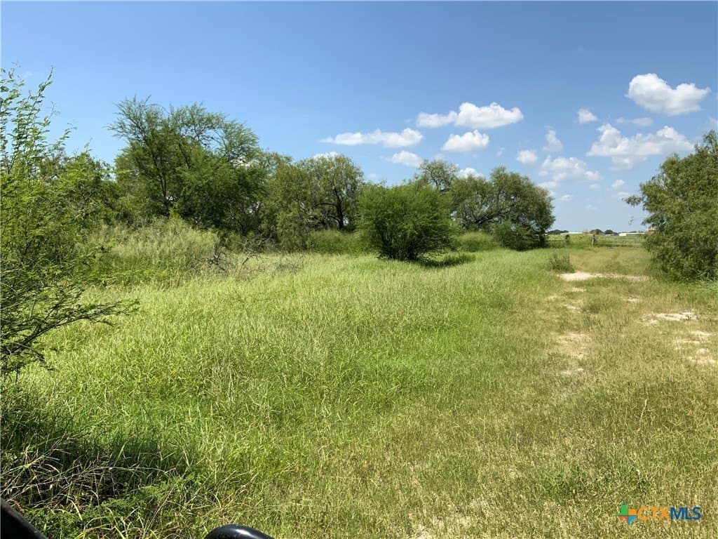 84.17 acres in San Patricio County - photo 23