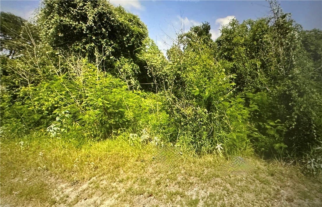 0.16 acres in San Patricio County - photo 4