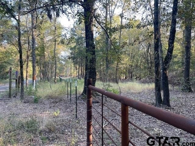 5 acres in Smith County - photo 2