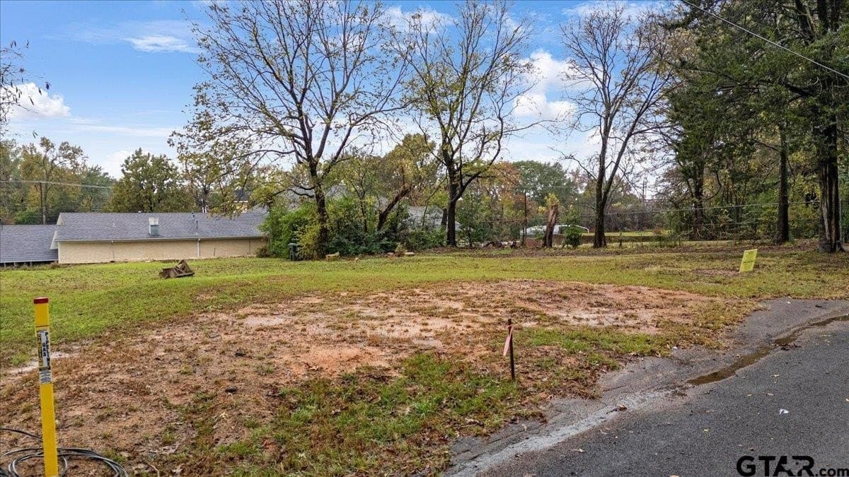 0.19 acres in Smith County - photo 6
