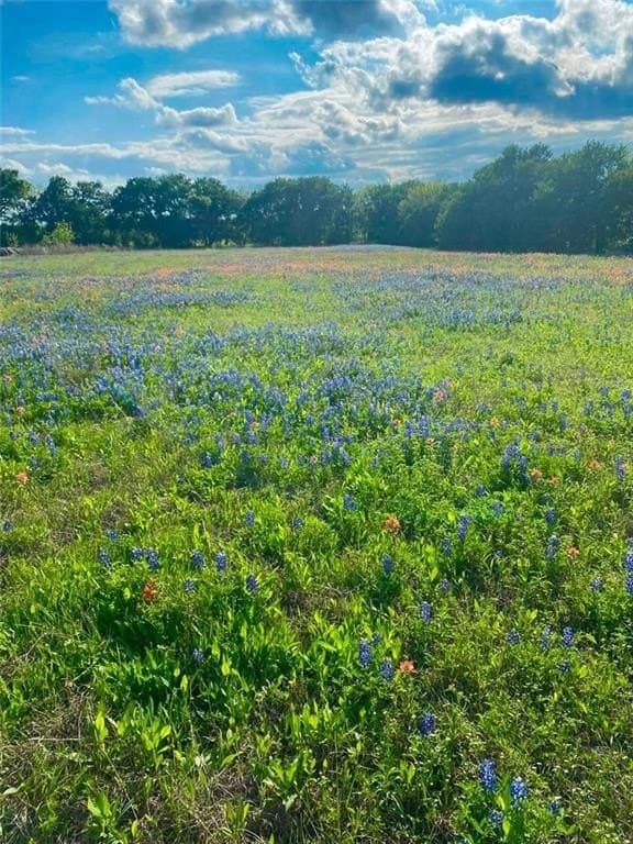 39 acres in McLennan County - photo 12