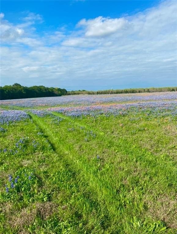 39 acres in McLennan County - photo 11