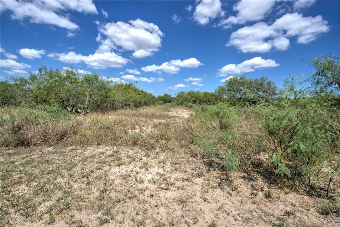 21.6 acres in Jim Wells County - photo 3
