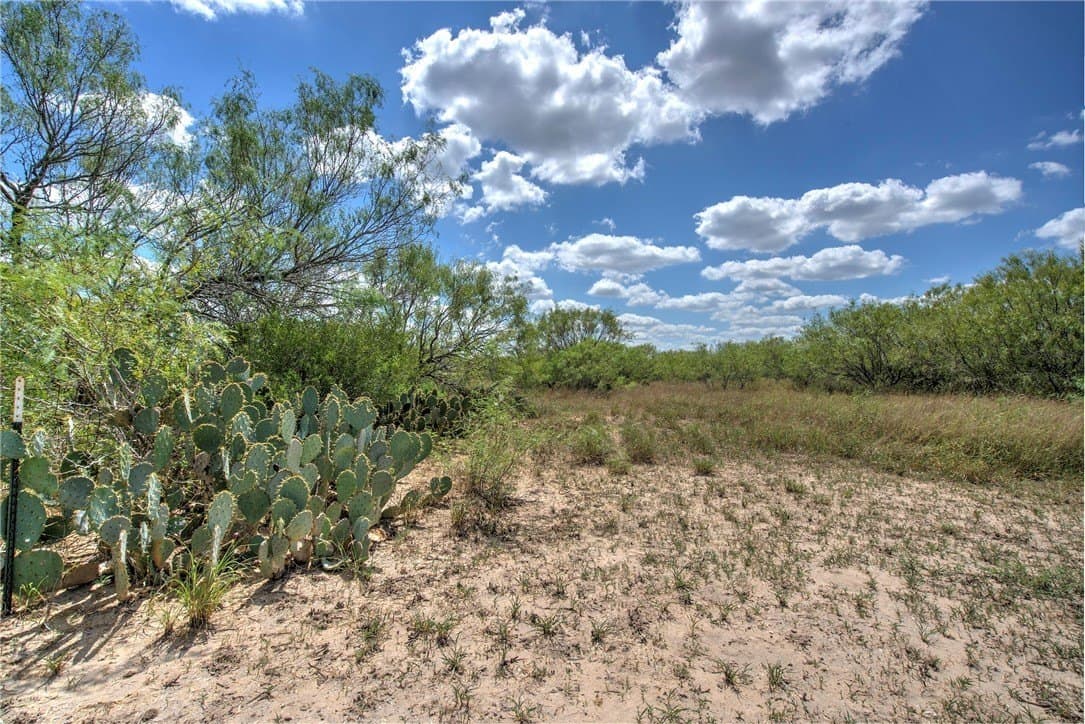 21.6 acres in Jim Wells County - photo 2