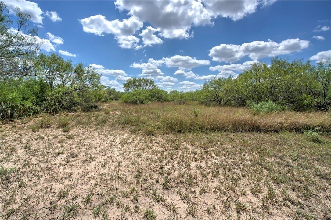 21.6 acres in Jim Wells County - photo 4