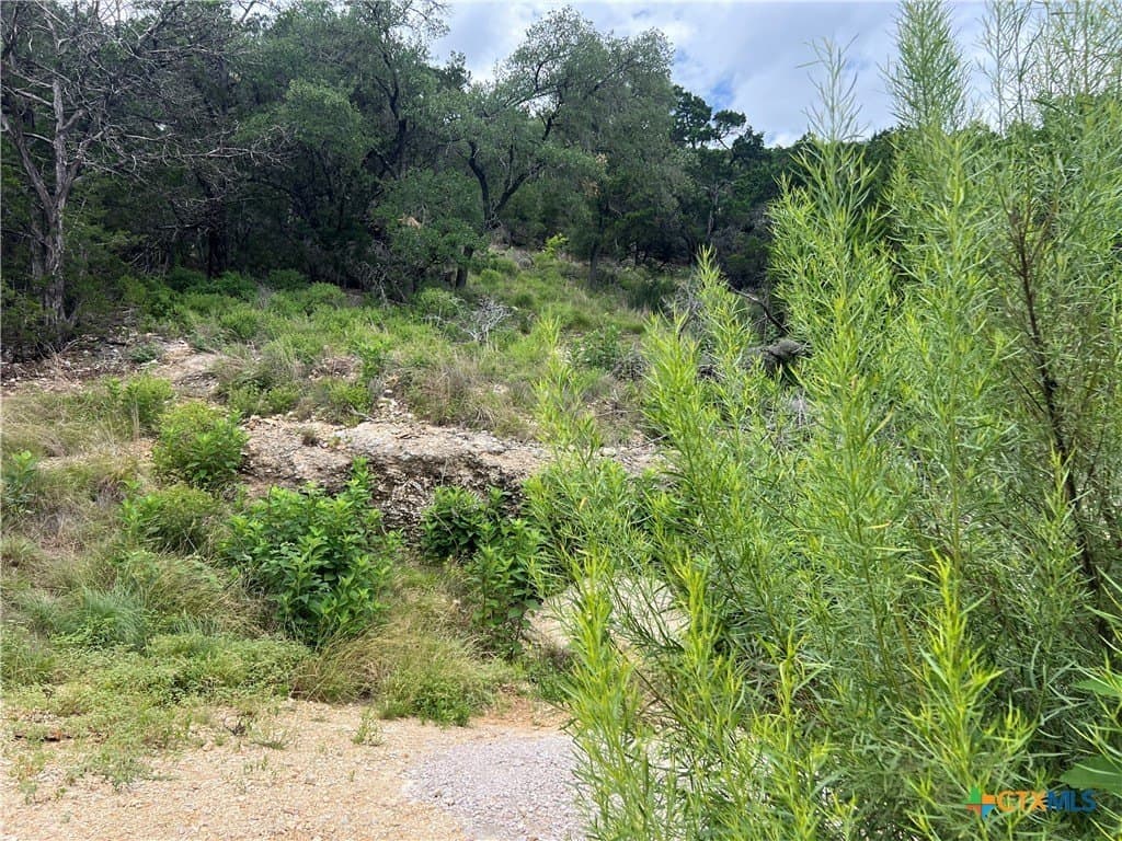 0.25 acres in Comal County - photo 8