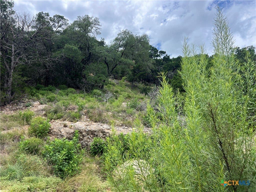 0.25 acres in Comal County - photo 4
