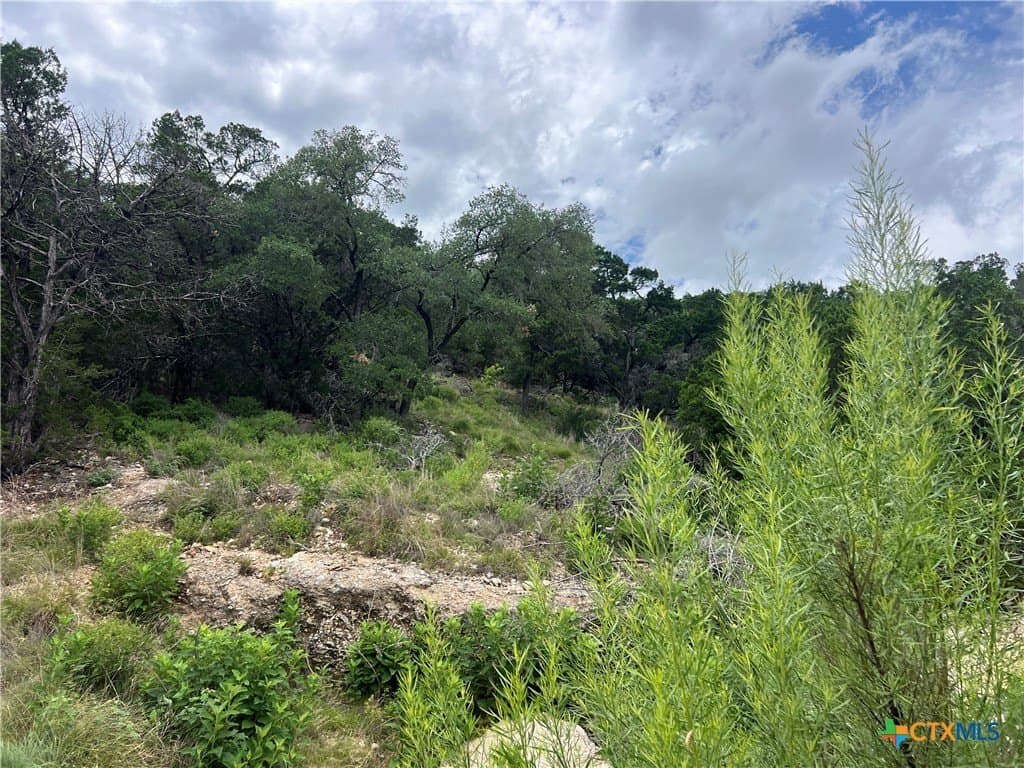 0.25 acres in Comal County - photo 6