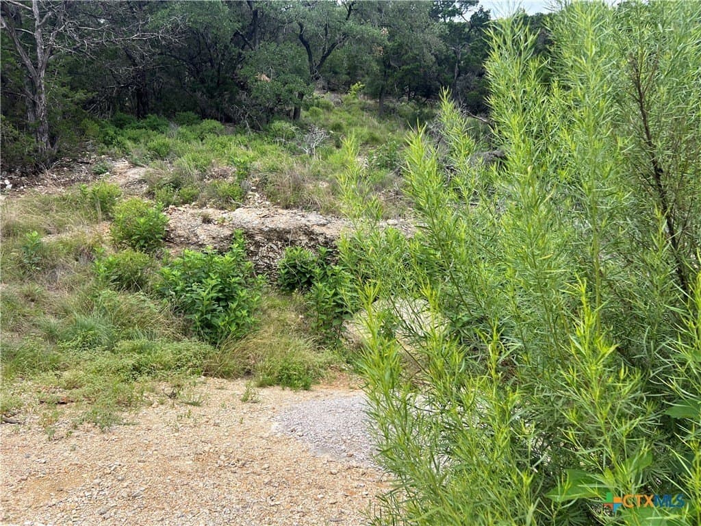 0.25 acres in Comal County - photo 7