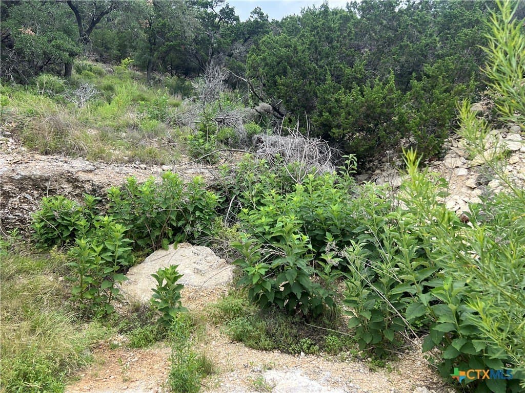 0.25 acres in Comal County - photo 2