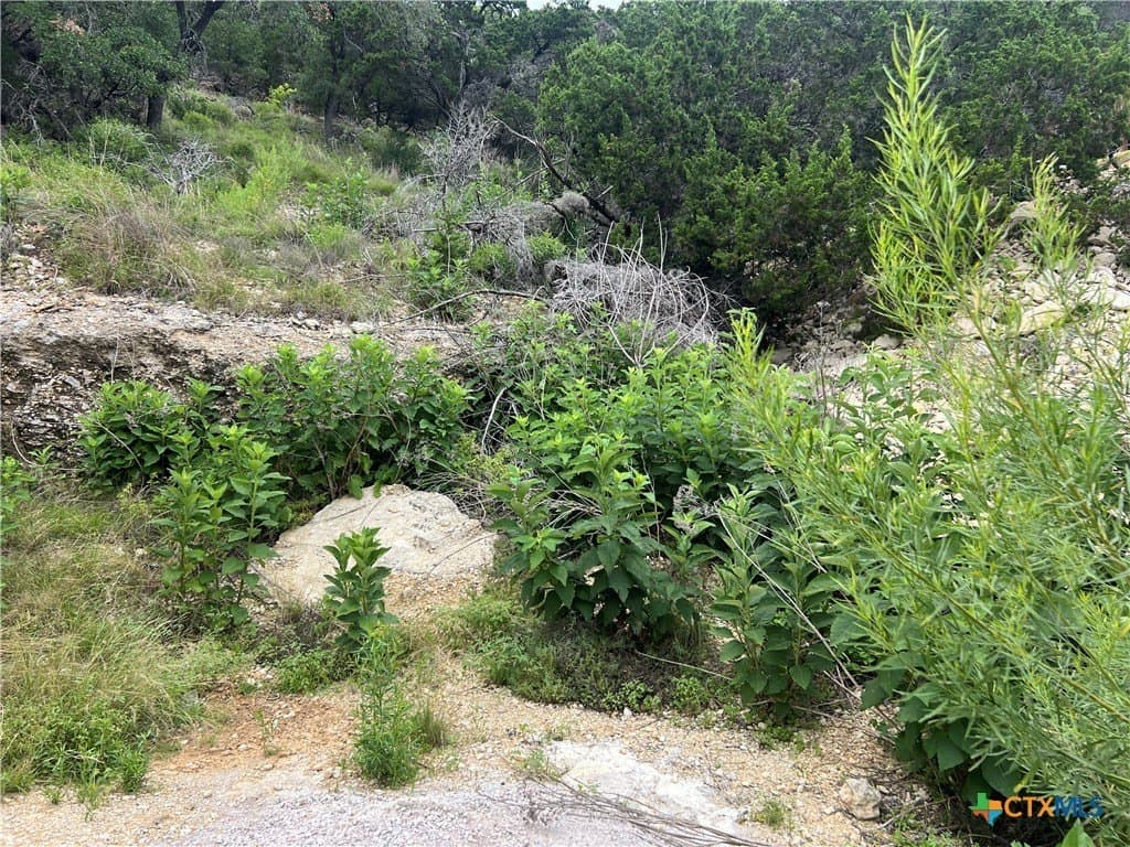 0.25 acres in Comal County - photo 3