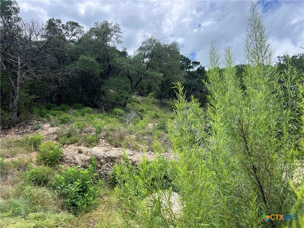 0.25 acres in Comal County - photo 5