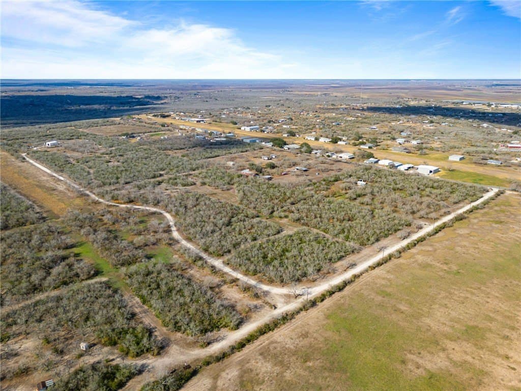 0 acres in Live Oak County - photo 20