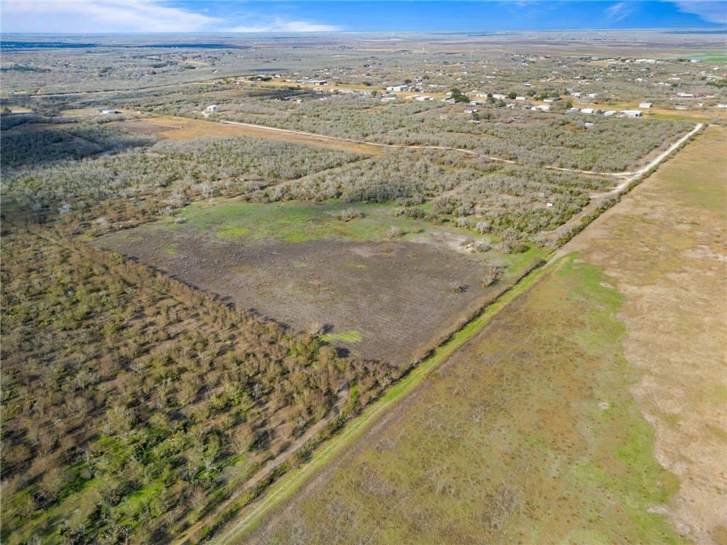 0 acres in Live Oak County - photo 21