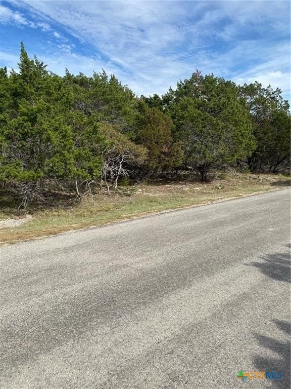 0.35 acres in Bell County - photo 2