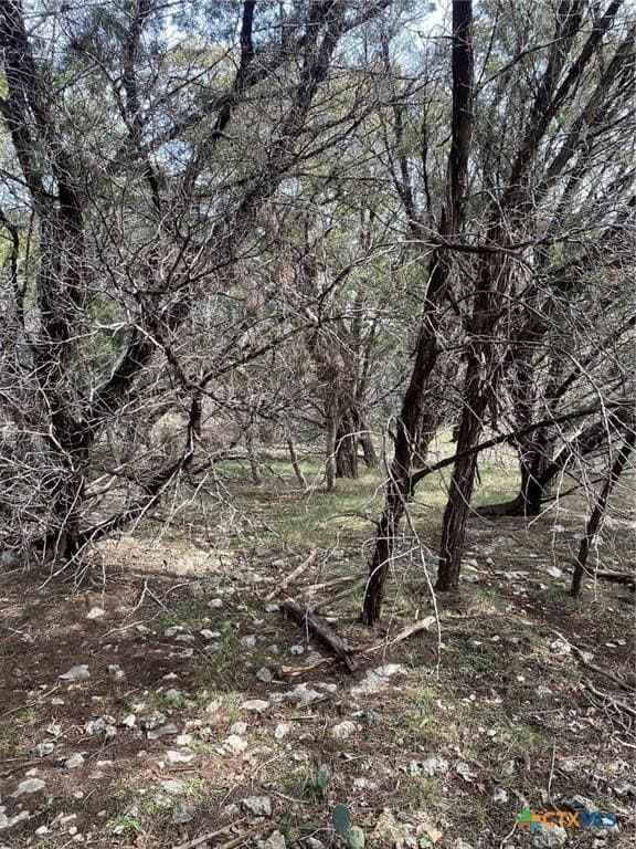 0.35 acres in Bell County - photo 3
