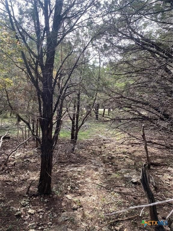 0.35 acres in Bell County - photo 5