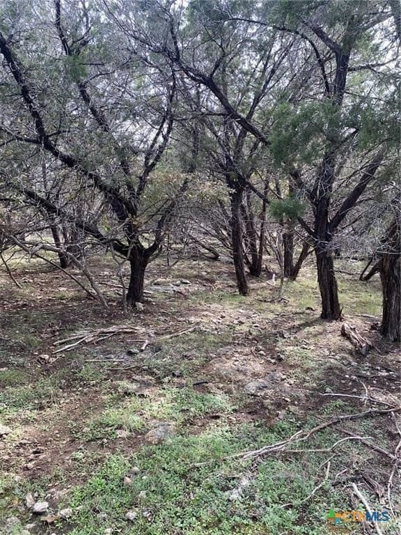 0.35 acres in Bell County - photo 4